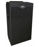 Peavey VB-810