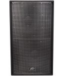 Peavey Versarray 218