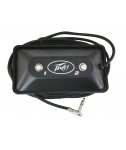 Peavey Footswitch 2 Button/w leds - przełącznik nożny