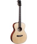 Martin Guitar 000Jr-10