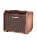 Fishman Loudbox Mini Charge